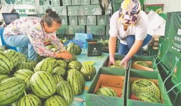 新沂近期的吃瓜事件视频,揭秘网络热议背后的真相