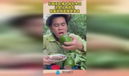 东南亚吃瓜事件视频播放,视频播放背后的文化现象解析