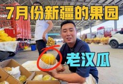 去新疆吃老汉瓜视频播放,舌尖上的瓜果盛宴，视频播放引热议