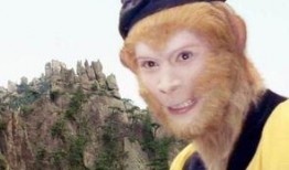 美猴王跑路吃瓜视频,揭秘网络热传视频背后的真相