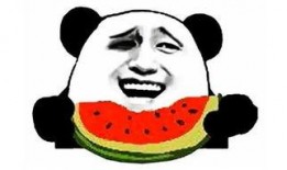 搞笑吃瓜阿姨视频下载免费,免费下载，笑料横生，欢乐无限