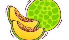 吃哈米瓜视频,探寻美味与营养的完美融合