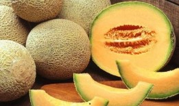 乡下人吃哈密瓜视频,揭秘乡下人吃哈密瓜的独特风情