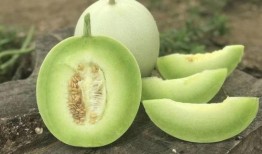 玉瓜可以怎样吃呢视频,解锁健康美味新体验