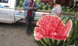 曲靖吃瓜群众视频下载,视频下载背后的故事