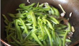 猪会吃蛇瓜吗视频,揭秘猪与蛇瓜的奇妙互动