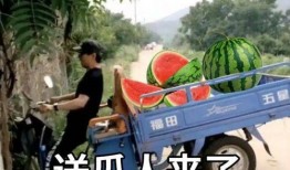 倒卖吃瓜视频大全最新