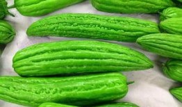 小孩子吃凉瓜视频