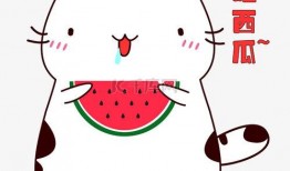 动漫吃瓜小猫咪视频大全,吃瓜小猫咪动漫视频大盘点