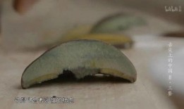 野生菌吃瓜视频大全下载