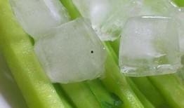 湛江吃瓜视频,揭秘当地美食文化盛宴