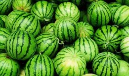 震惊三观吃瓜视频下载