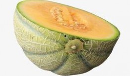 哈密瓜视频免费吃,揭秘免费品尝哈密瓜的神奇之旅