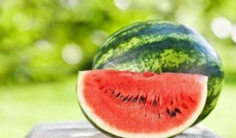 怀孕吃烧瓜好不好呢视频,烧瓜对孕妇的影响解析