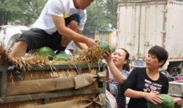 项城市吃瓜视频,揭秘当地美食文化盛宴