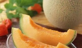 果蝇吃哈密瓜视频,揭秘哈密瓜的甜蜜诱惑
