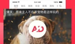 吃瓜学生 纸条视频下载,揭秘“吃瓜学生”纸条视频下载背后的故事