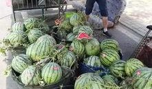 濮阳网红吃瓜事件视频,一场网络狂欢背后的真相揭秘