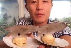 吃瓜直播搞笑帅哥视频,带你领略欢乐时光