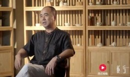 吃瓜视频高手刘三,吃瓜视频高手，揭秘娱乐圈幕后真相