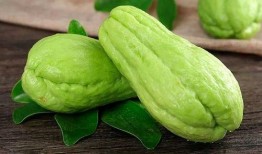 缩手瓜怎样吃才好吃视频,视频教你轻松烹饪佳肴