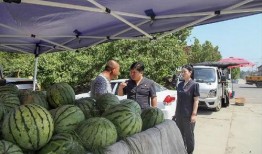 徐水区吃瓜事件视频,一场引发热议的网络视频风波
