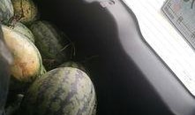 搬凳子吃瓜的视频,揭秘网络“吃瓜”文化新现象