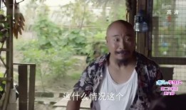 宇将军吃瓜视频在线观看,揭秘娱乐圈幕后故事