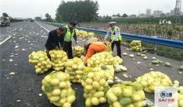 河南省镇平县吃瓜视频,一场吃瓜视频引发的乡愁盛宴