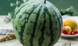 八月瓜吃货视频大全集下载,美味瞬间，一网打尽