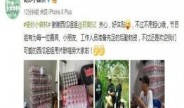 群众吃瓜哭的视频,群众吃瓜哭成泪人，背后故事引人深思