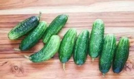 缩手瓜怎样吃才好吃视频,视频教你轻松烹饪佳肴