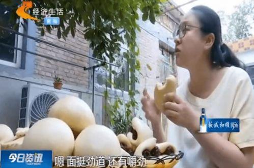 生瓜蛋子吃货博主视频,生瓜蛋子吃货博主带你探索美食世界