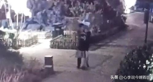 东城吃瓜原视频,揭秘幕后真相，带你走进事件核心
